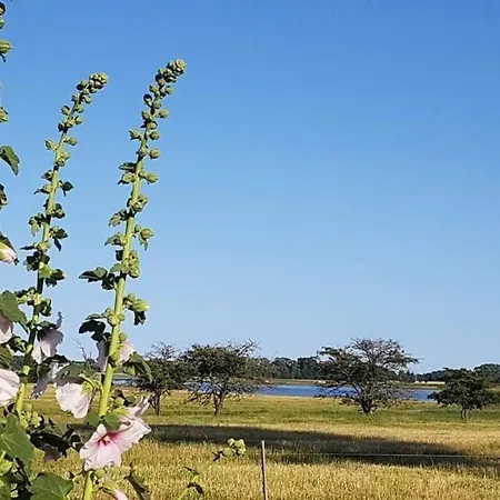 Fantastische Sonnenaufgaenge Ueber Dem Bodden Appartamento