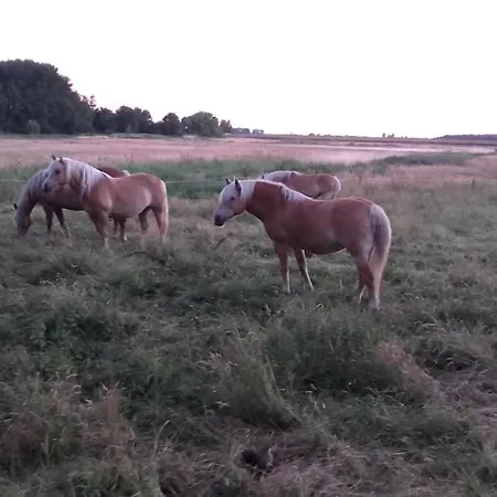 Fantastische Sonnenaufgaenge Ueber Dem Bodden Appartamento *