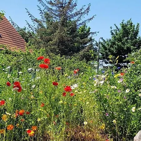 Appartamento Fantastische Sonnenaufgaenge Ueber Dem Bodden *