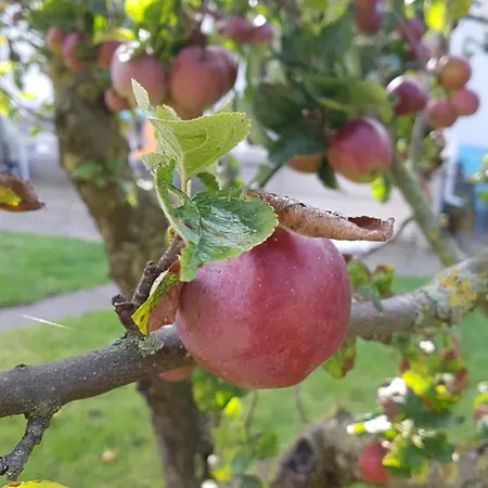 Appartamento Fantastische Sonnenaufgaenge Ueber Dem Bodden Ummanz