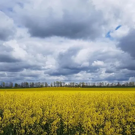 Fantastische Sonnenaufgaenge Ueber Dem Bodden Appartamento *