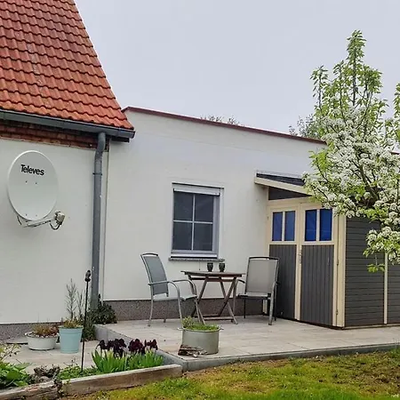 Fantastische Sonnenaufgaenge Ueber Dem Bodden * Ummanz