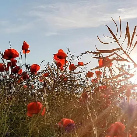 Appartamento Fantastische Sonnenaufgaenge Ueber Dem Bodden Ummanz