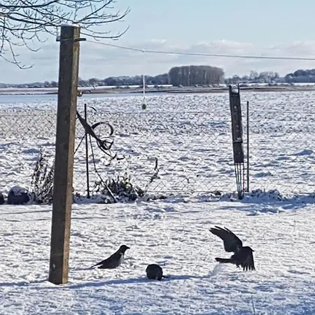 Fantastische Sonnenaufgaenge Ueber Dem Bodden Appartamento Ummanz