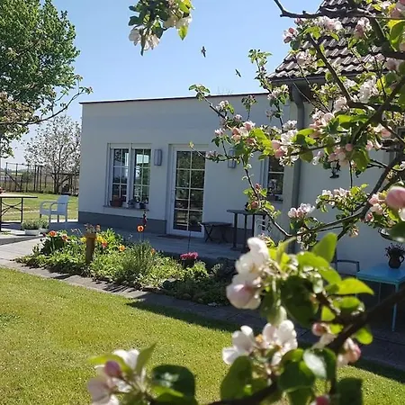 Fantastische Sonnenaufgaenge Ueber Dem Bodden * Ummanz