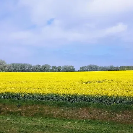 Fantastische Sonnenaufgaenge Ueber Dem Bodden * Ummanz
