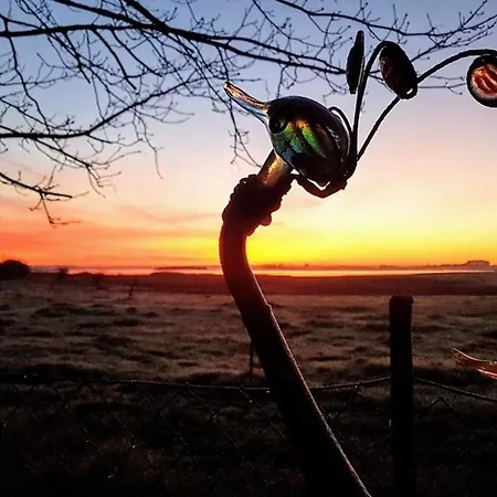 Appartamento Fantastische Sonnenaufgaenge Ueber Dem Bodden Ummanz