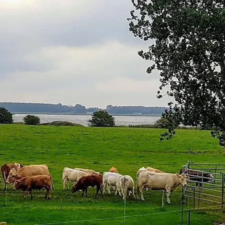 Fantastische Sonnenaufgaenge Ueber Dem Bodden * Ummanz
