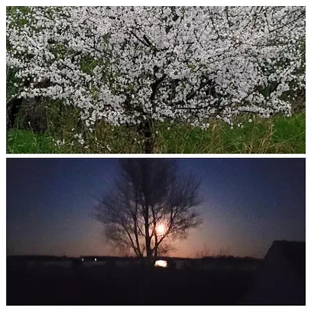 Fantastische Sonnenaufgaenge Ueber Dem Bodden