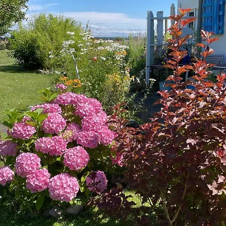 Fantastische Sonnenaufgaenge Ueber Dem Bodden * Ummanz